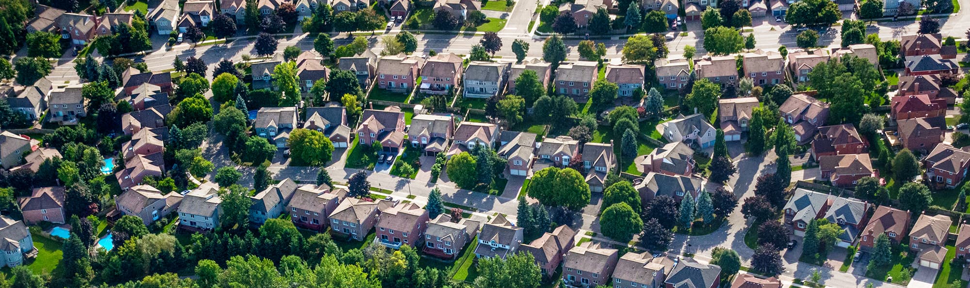 Sunny suburban street of well-kept homes in a managed community